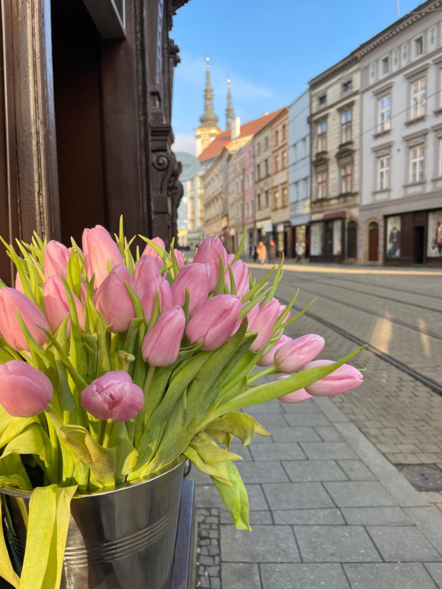 Pension Moravia オロモウツ エクステリア 写真